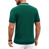 image:imageAlimens amp Gentle Mens Knitted Polo Shirts V Neck Collared Shirts for GolfGreen