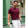image:imageAlimens amp Gentle Mens Knitted Polo Shirts V Neck Collared Shirts for GolfWine Red