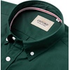 image:imageAlimens amp Gentle Mens Solid Oxford Shirt Long Sleeve Dress Shirt Work Casual Button Down Shirts with PocketDark Green